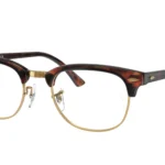 8058 Tartarugato