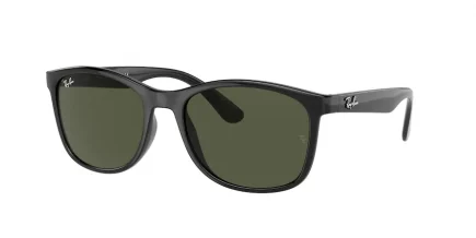 Ray-Ban RB4374