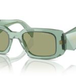 11R10E Salvia trasparente