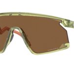 928011 Transparent Fern