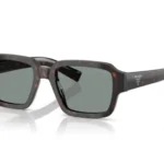 17N20N Root tartarugato