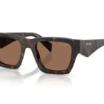 17N06B Root tartarugato