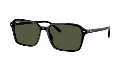 Ray-Ban RB2231 - Raimond